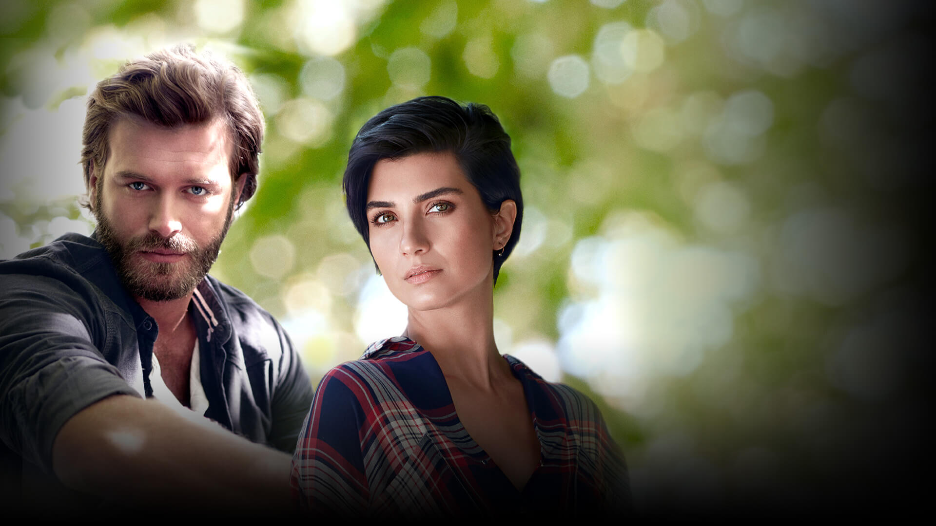 Dizi